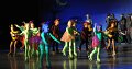Lionking 0581